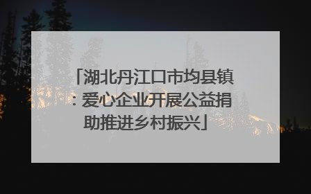 湖北丹江口市均县镇：爱心企业开展公益捐助推进乡村振兴