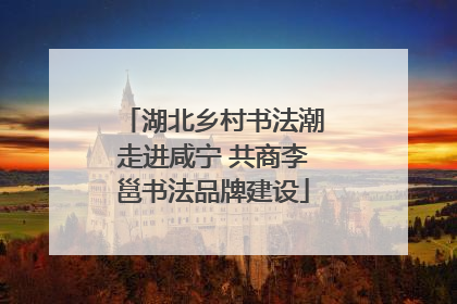 湖北乡村书法潮走进咸宁 共商李邕书法品牌建设