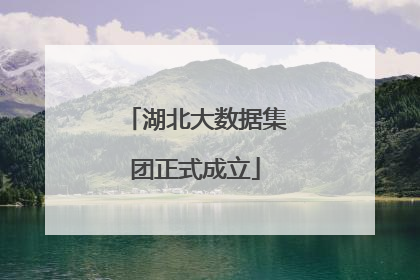 湖北大数据集团正式成立