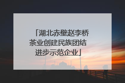 湖北赤壁赵李桥茶业创建民族团结进步示范企业