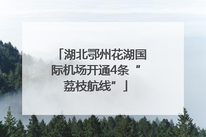 湖北鄂州花湖国际机场开通4条“荔枝航线”