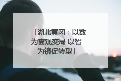 湖北黄冈：以数为窗观变局 以智为镜促转型