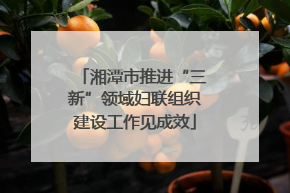 湘潭市推进“三新”领域妇联组织建设工作见成效