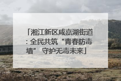 湘江新区咸嘉湖街道：全民共筑“青春防毒墙” 守护无毒未来