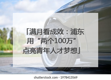 满月看成效：浦东用“两个100万”点亮青年人才梦想