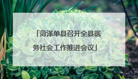 菏泽单县召开全县医务社会工作推进会议