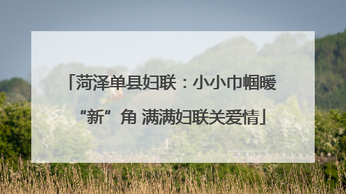 菏泽单县妇联：小小巾帼暖“新”角 满满妇联关爱情