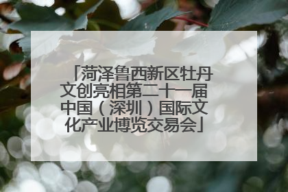 菏泽鲁西新区牡丹文创亮相第二十一届中国（深圳）国际文化产业博览交易会