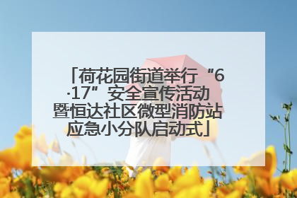 荷花园街道举行“6·17”安全宣传活动暨恒达社区微型消防站应急小分队启动式