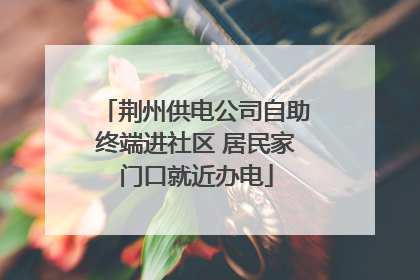 荆州供电公司自助终端进社区 居民家门口就近办电