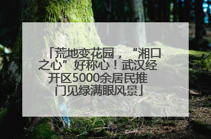 荒地变花园，“湘口之心”好称心！武汉经开区5000余居民推门见绿满眼风景