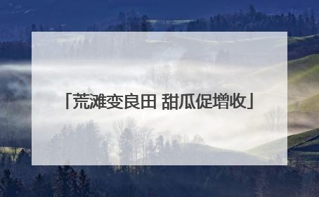 荒滩变良田 甜瓜促增收