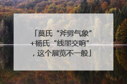 莫氏“斧劈气象”+杨氏“线墨交响”，这个展览不一般