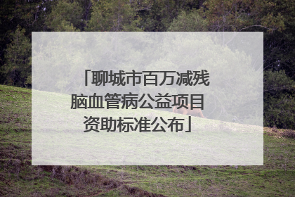 聊城市百万减残脑血管病公益项目资助标准公布