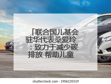 联合国儿基会驻华代表桑爱玲：致力于减少碳排放 帮助儿童适应气候变化