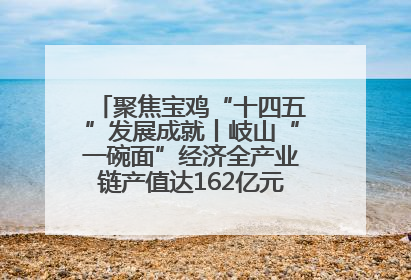 聚焦宝鸡“十四五”发展成就丨岐山“一碗面”经济全产业链产值达162亿元 入选全国典型县