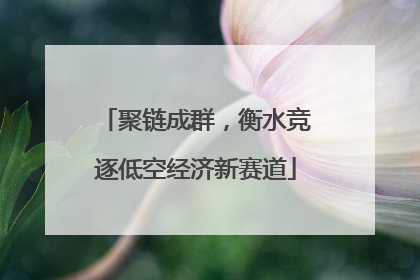 聚链成群，衡水竞逐低空经济新赛道