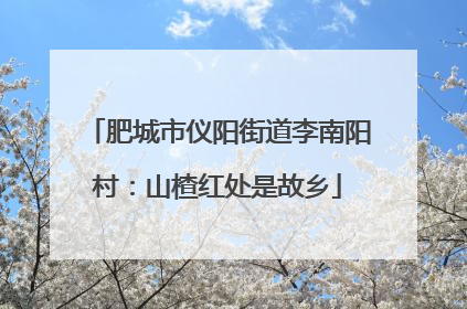 肥城市仪阳街道李南阳村：山楂红处是故乡