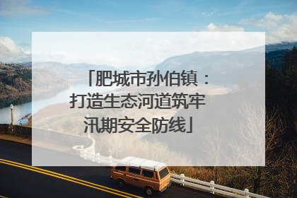 肥城市孙伯镇：打造生态河道筑牢汛期安全防线