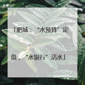 肥城：“水预算”定盘，“水银行”活水