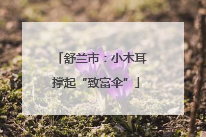 舒兰市：小木耳撑起“致富伞”
