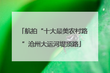 航拍“十大最美农村路”沧州大运河堤顶路