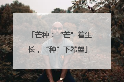 芒种：“芒”着生长，“种”下希望