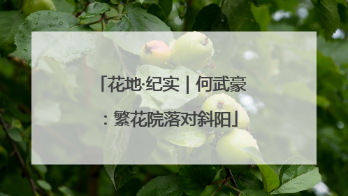花地·纪实｜何武豪：繁花院落对斜阳