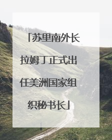 苏里南外长拉姆丁正式出任美洲国家组织秘书长