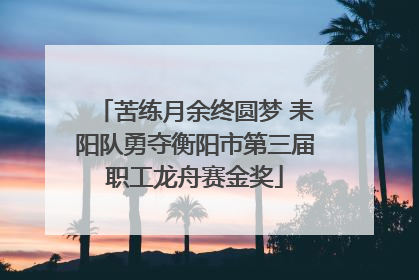 苦练月余终圆梦 耒阳队勇夺衡阳市第三届职工龙舟赛金奖