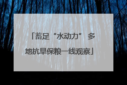 蓄足“水动力” 多地抗旱保粮一线观察