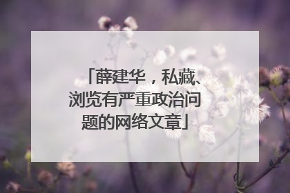 薛建华，私藏、浏览有严重政治问题的网络文章