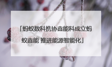 蚂蚁数科携协鑫能科成立蚂蚁鑫能 推进能源智能化
