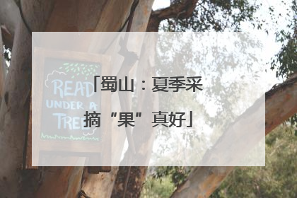 蜀山：夏季采摘“果”真好