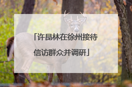 许昆林在徐州接待信访群众并调研