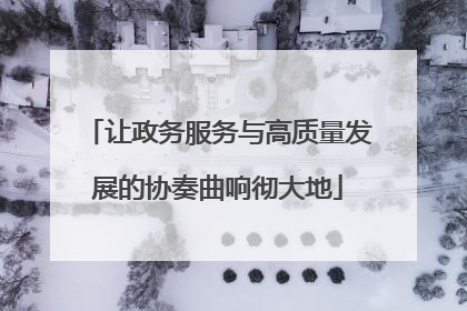 让政务服务与高质量发展的协奏曲响彻大地