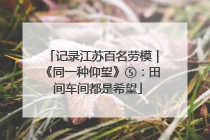 记录江苏百名劳模｜《同一种仰望》⑤：田间车间都是希望