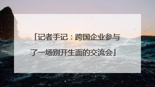 记者手记：跨国企业参与了一场别开生面的交流会