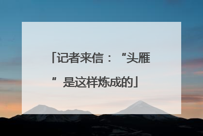 记者来信：“头雁”是这样炼成的