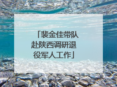 裴金佳带队赴陕西调研退役军人工作