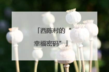 西陈村的“幸福密码”