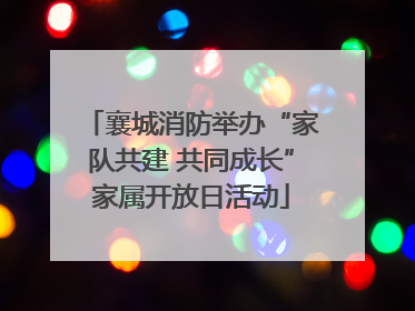 襄城消防举办“家队共建 共同成长”家属开放日活动