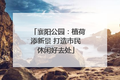 襄阳公园：植荷添新景 打造市民休闲好去处