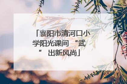 襄阳市清河口小学阳光课间 “武” 出新风尚