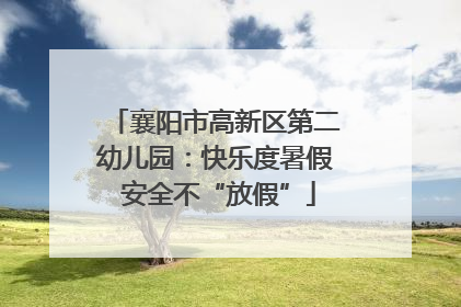 襄阳市高新区第二幼儿园：快乐度暑假 安全不“放假”