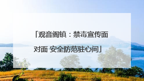 观音阁镇：禁毒宣传面对面 安全防范驻心间