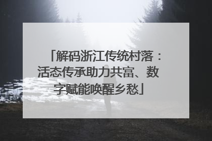 解码浙江传统村落：活态传承助力共富、数字赋能唤醒乡愁