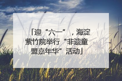 迎“六一”，海淀紫竹院举行“非遗童盟嘉年华”活动