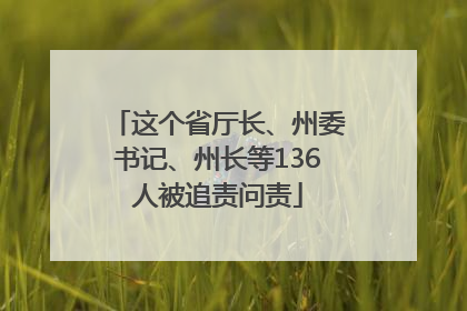 这个省厅长、州委书记、州长等136人被追责问责