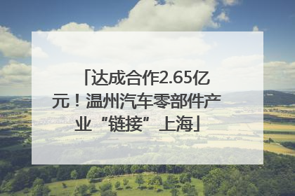 达成合作2.65亿元！温州汽车零部件产业“链接”上海